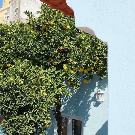 Proa D'Alfama Guest House 리스본 외부 사진