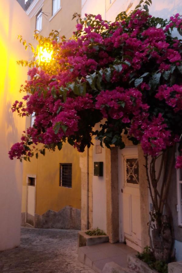 Proa D'Alfama Guest House 리스본 외부 사진